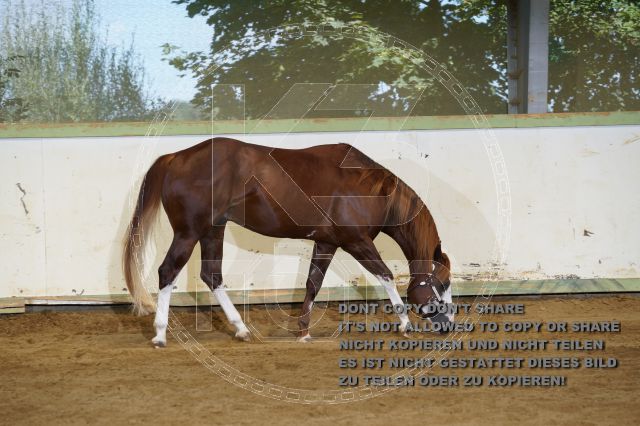 a_K3F04079.JPG